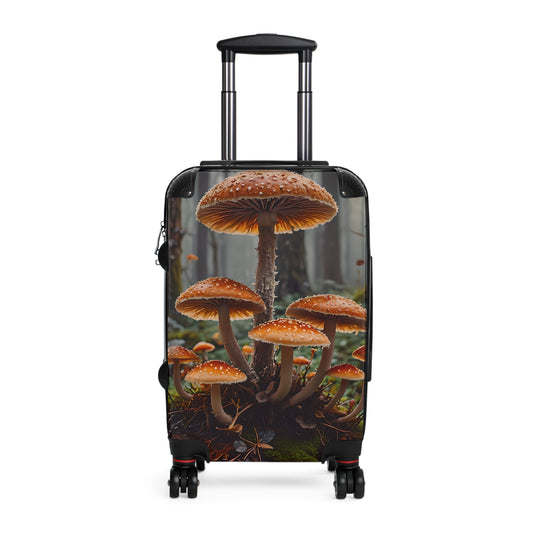 Suitcase
