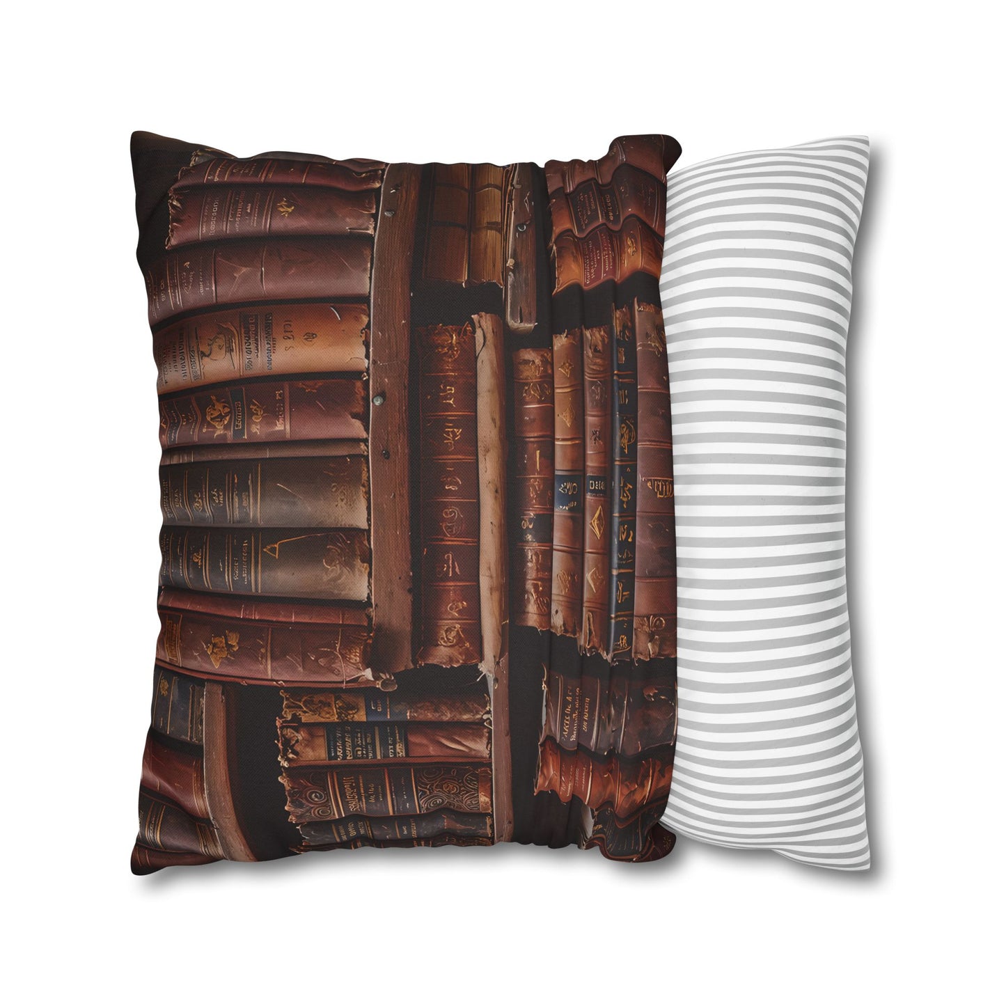 Rare Books on Book Shelf Pillow Cover