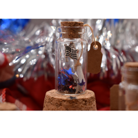 Message in a Bottle 4th of July Edition